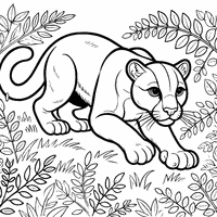 Coloring of a puma stalking | Toupty.com