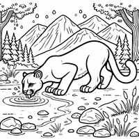 Coloring of a puma drinking from a river | Toupty.com