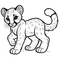 Coloring of a teenage puma | Toupty.com