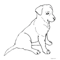 Labrador puppy coloring page