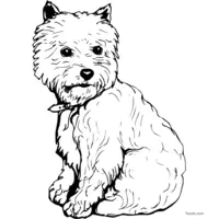 Long-haired puppy coloring page