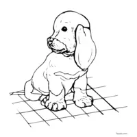 Droopy-eared puppy coloring page