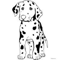 Dalmatian puppy coloring page