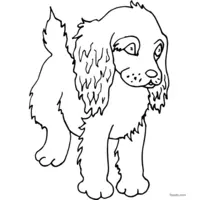 English Cocker Spaniel puppy coloring page