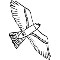 Printable falcon coloring page