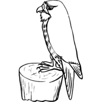 Printable free bird of prey drawing