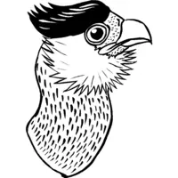 Printable raptor coloring for kids