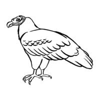 Printable owl and eagle coloring page