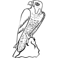 Printable hawk and kite drawing