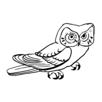 Printable sparrowhawk and owl drawing