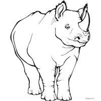 Cute rhinoceros illustration