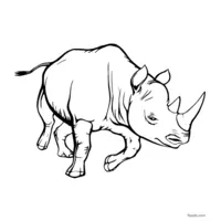 GIF rhinoceros drawing