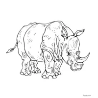 Clipart rhinoceros printable