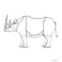 Rhinoceros sketch to color