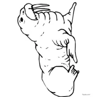 Walrus drawing coloring page