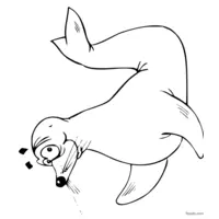 Funny seal drawing coloring page