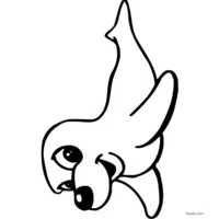 Baby seal coloring page