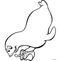 Seal drinking water coloring page