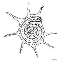 Fun seashell coloring page