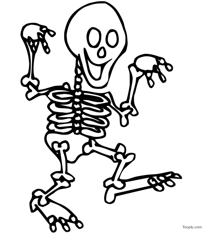 skeleton Page 19