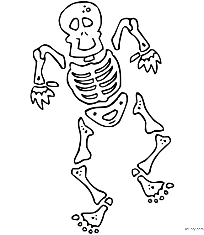 skeleton Page 4