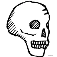 Side-facing skull