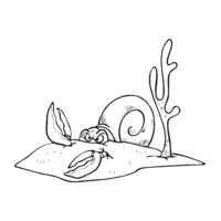 Snail coloring page number eleven