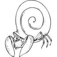 Snail coloring page number fourteen