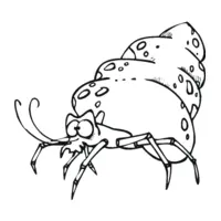 Snail coloring page number fifteen