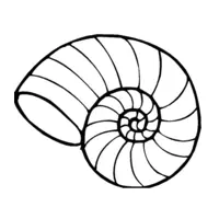 Snail coloring page number seventeen