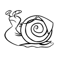 Snail coloring page number twenty