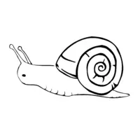 Snail coloring page number twenty-three