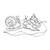 Snail coloring page number twenty-six