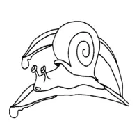 Snail coloring page number three