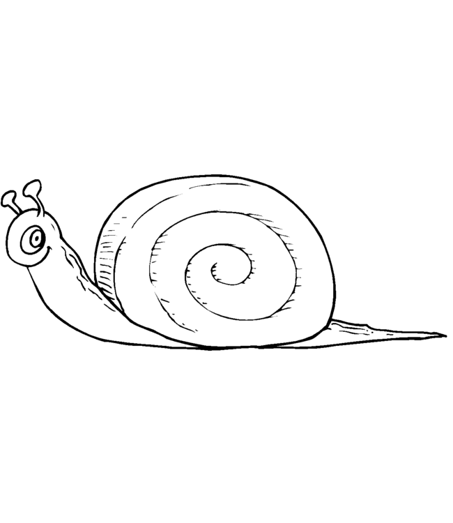 snail Page 6