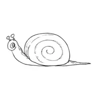 Snail coloring page number six