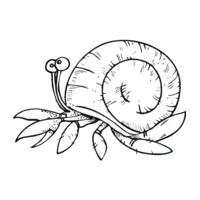 Snail coloring page number seven