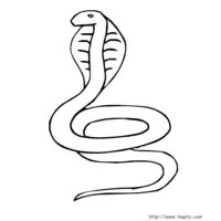 Snake coloring N°13