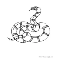 Snake coloring N°14