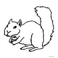 squirrel image to print and color