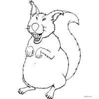 squirrel clip art to print and color