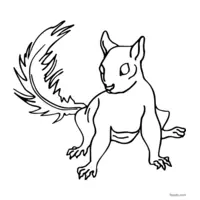 squirrel image for coloring