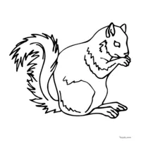 squirrel drawing for coloring