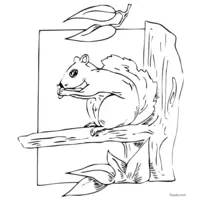 black and white squirrel clip art to print