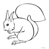 squirrel drawing to print