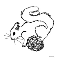 black and white squirrel drawing to color