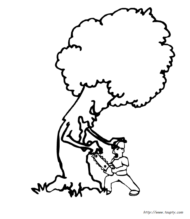 tree Page 5