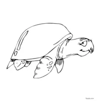 Marine turtle coloring page