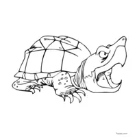 Grumpy turtle coloring page