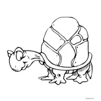 Land turtle coloring page